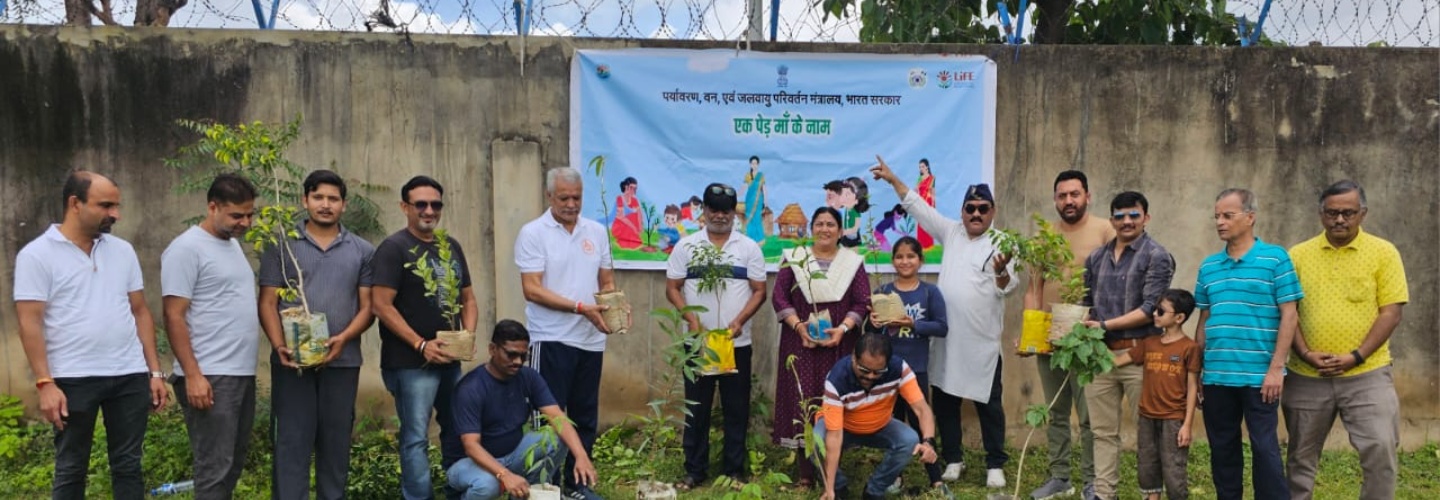 ICA, Kano organized  Plant For Mother Campaign launched by Hon'ble PM on World Environment Day